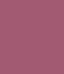 Zayn & Myza Rich Matte Lipstick (4.2g)