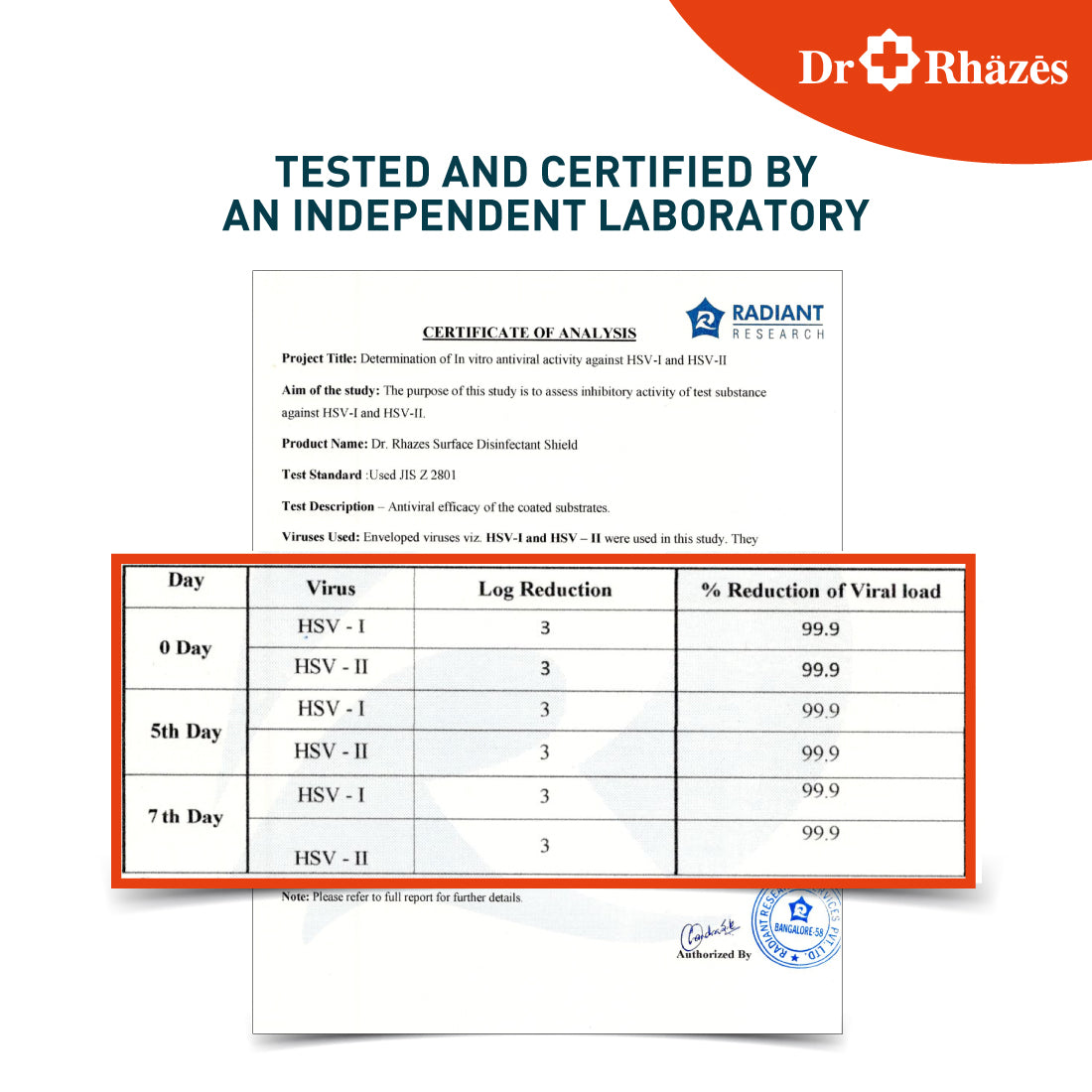 Dr Rhazes 7 Day Surface Disinfectant Shield