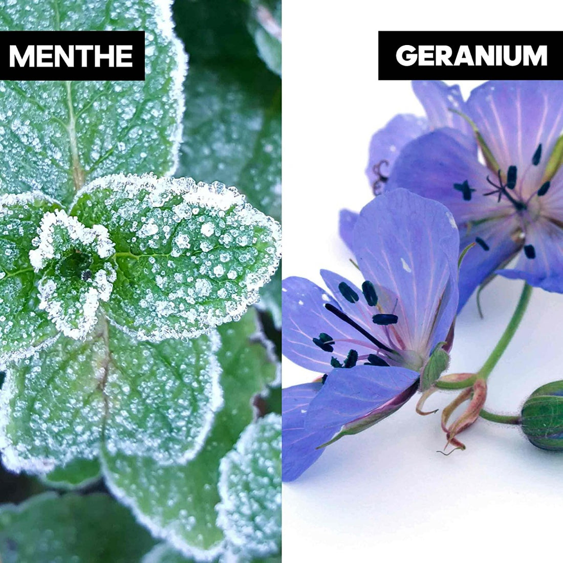 Adidas Ice Dive Marine Extract Refreshing Hair and Body Shower Gel (250ml)