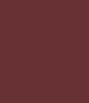 Swiss Beauty Bold Matte LipLiner