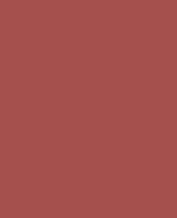 B107-coral