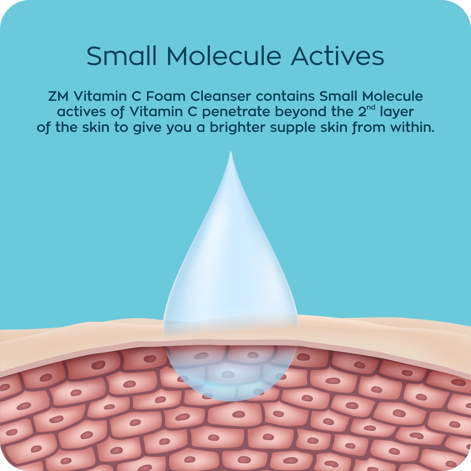 ZM Vitamin C Foaming Face Wash 100ml - (Pack of 02) actives