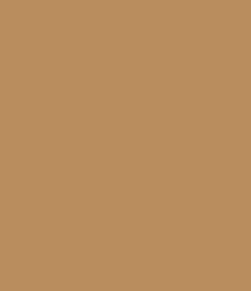 Absolute New York HD Flawless Foundation (28ml)