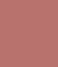 Absolute New York Mattifying Lip Color Stick (03gm)