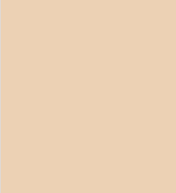 Makeup Revolution Fast Base Stick Foundation (6.2g)