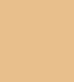 Makeup Revolution Fast Base Stick Foundation (6.2g)