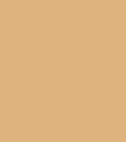 Makeup Revolution Fast Base Stick Foundation (6.2g)