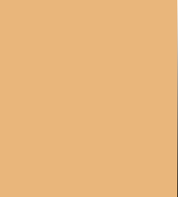 Makeup Revolution Fast Base Stick Foundation (6.2g)
