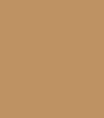 Nicka K Perfection Multi-use Concealer (8ml)