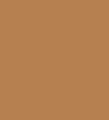 Nicka K Perfection Multi-use Concealer (8ml)