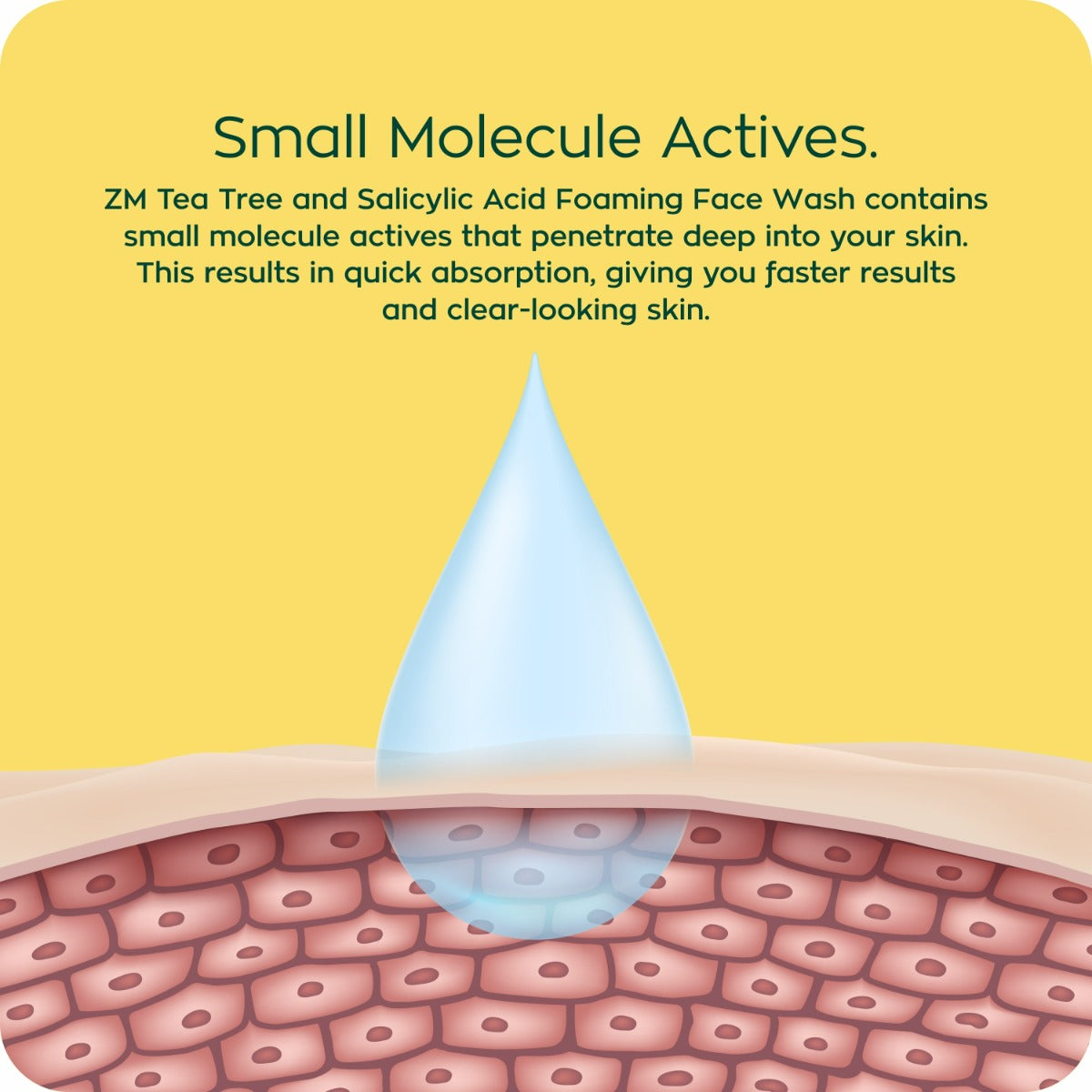 Zayn &amp; Myza Tea Tree and Salicylic Acid Foaming Face Wash for Women (100ml) - Pack of 02