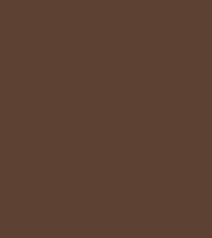 Absolute New York Perfect Eyebrow Pencil (0.25gm)