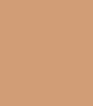 Absolute New York Click Cover Concealer (3ml)