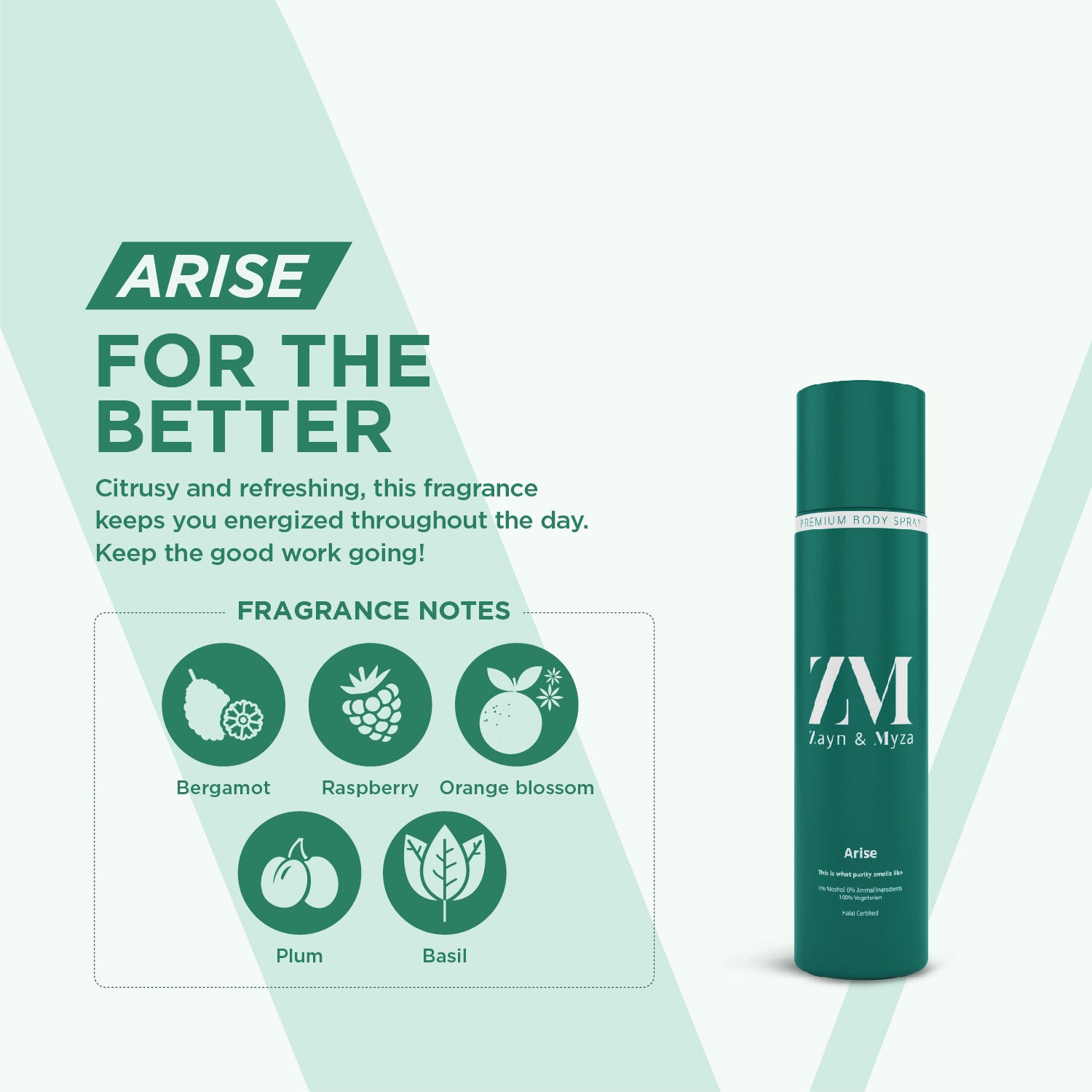 Zayn &amp; Myza Premium No Alcohol Perfume for Men (160ml) - Arise