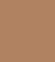Absolute New York 3D Cover Concealer (5.5 ml)