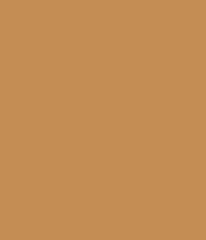 Absolute New York 3D Cover Concealer (5.5 ml)
