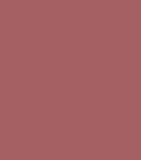 Absolute New York Icon Master Slim Matte Lipstick (1.3 gm)