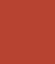 Absolute New York Icon Master Slim Matte Lipstick (1.3 gm)