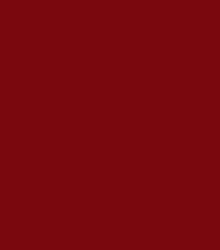 Absolute New York Icon Master Slim Matte Lipstick (1.3 gm)