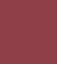Absolute New York Icon Master Slim Matte Lipstick (1.3 gm)