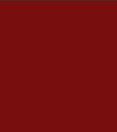 Nicka K True Matte Lip Color (3.5g)