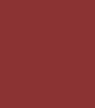 Absolute New York Mattifying Lip Color Stick (03gm)