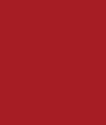 Milani Amore Matte Lip Crème (6g) - Striking