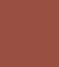 Absolute New York Mattifying Lip Color Stick (03gm)