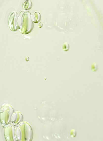 Beauty of Joseon Calming Serum Green Tea and Panthenol ( 30ml)