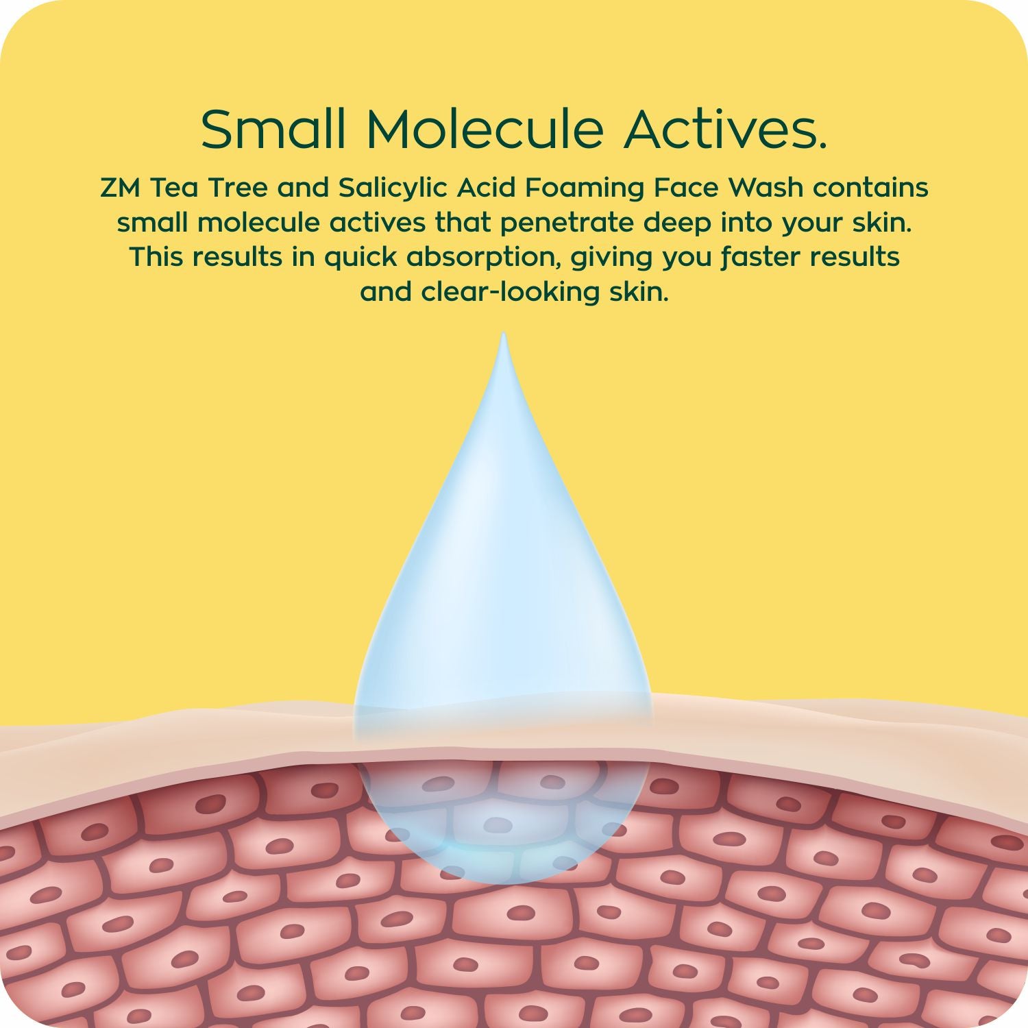 Zayn &amp; Myza Tea Tree and Salicylic Acid Foaming Face Wash For Men (100ml) BD
